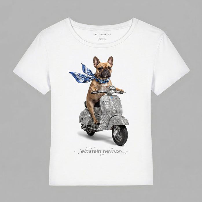 Einstein Newton Turbo Wuff