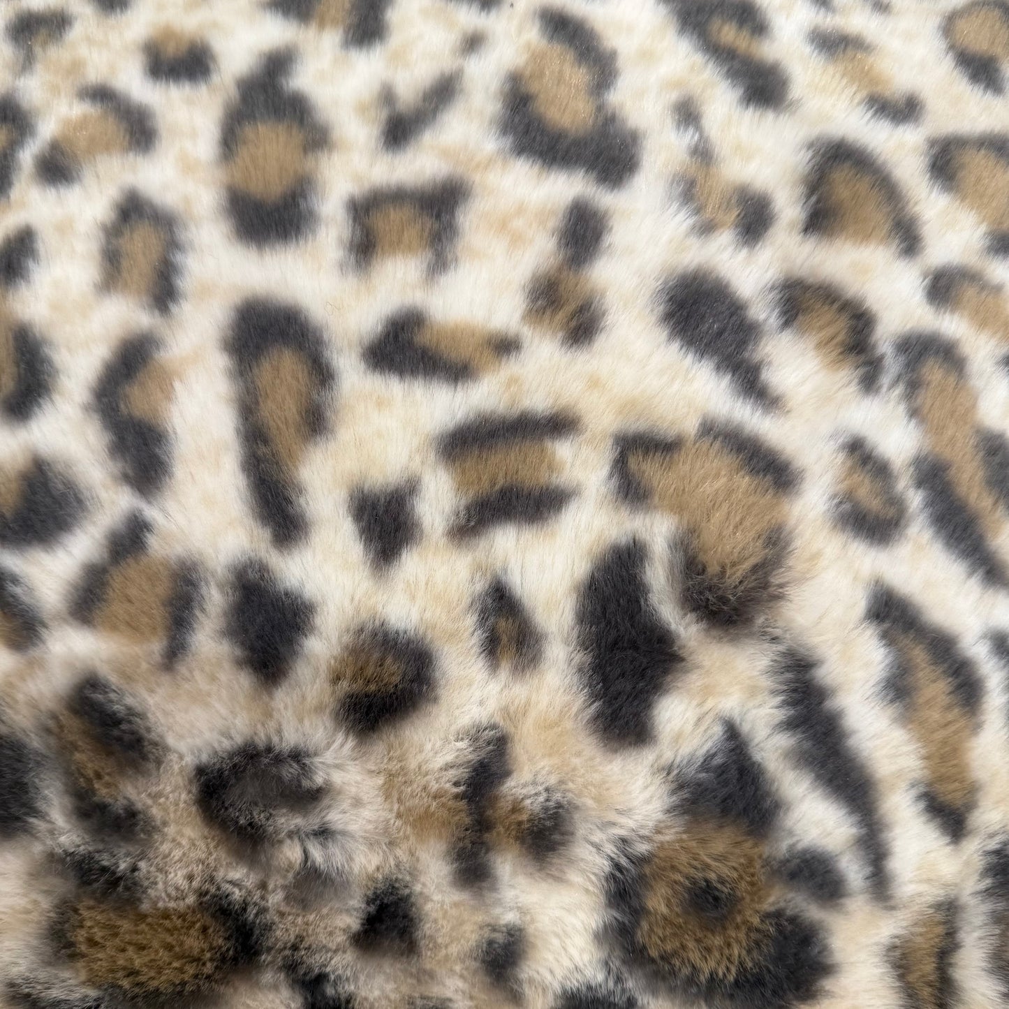 Kuscheldecke Keslin Leo