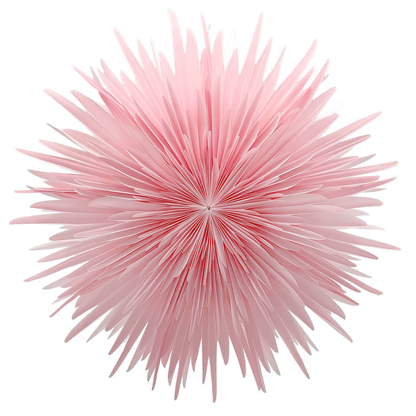 STELLA Dalia Rosa 60cm