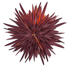STELLA Dalia Burgundy 40cm