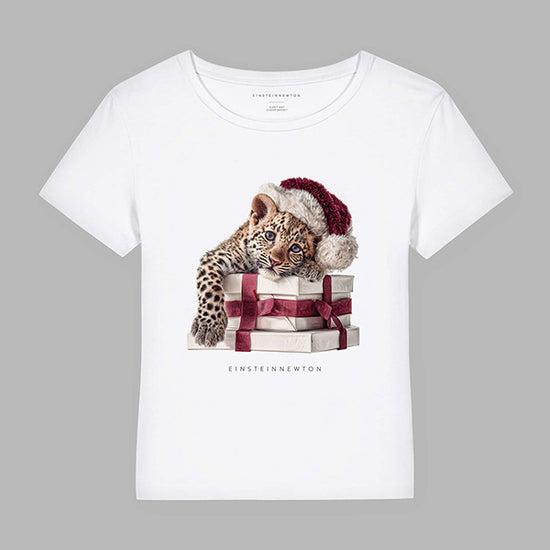 Einstein Newton T-Shirt XMAS Leo